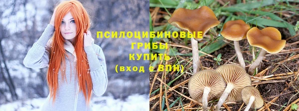 трава Балабаново